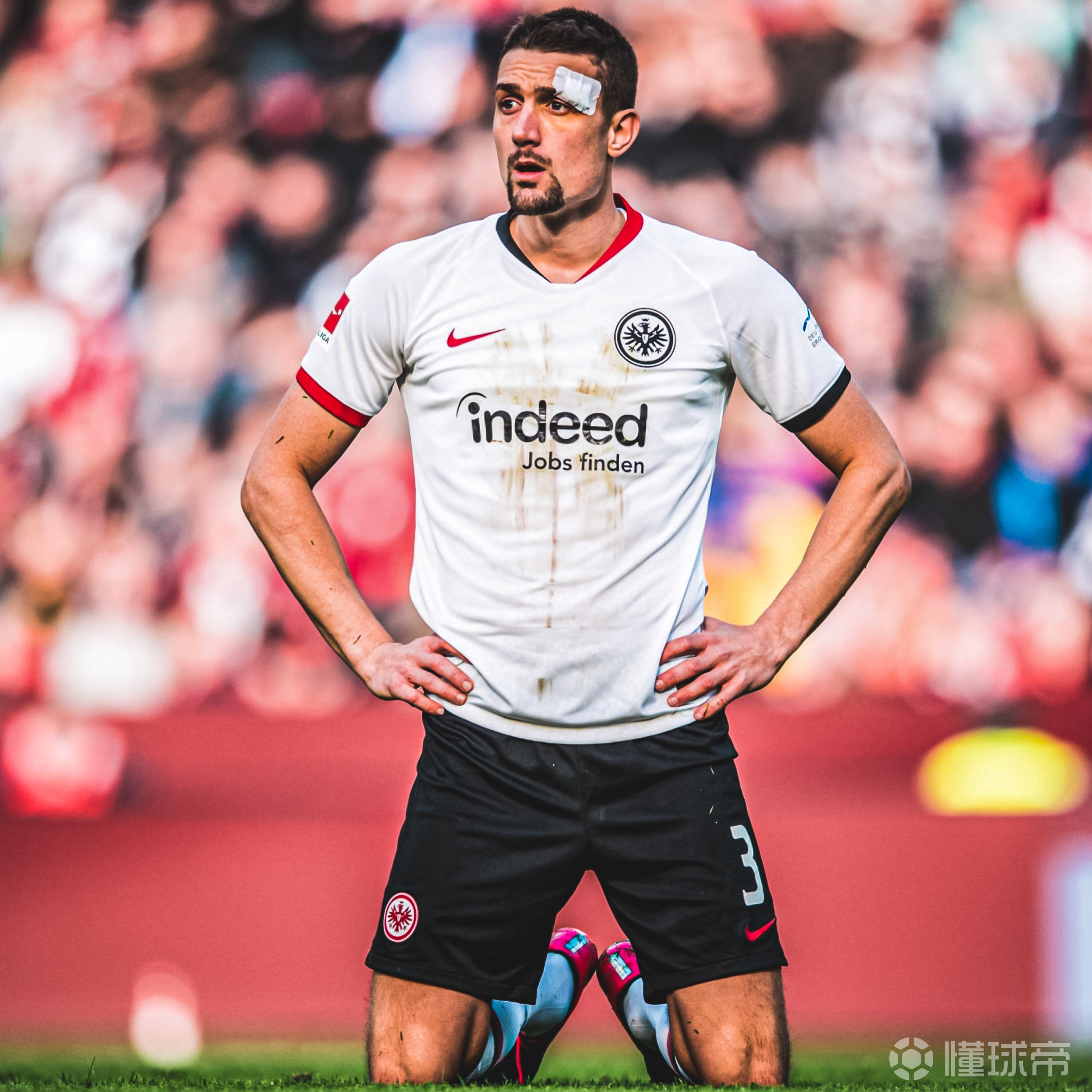 体育赛事勒沃库森主教练阿隆索