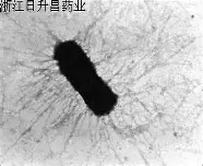贝博体育托特纳姆伤情更新备战法国杯风云突变广东宏远赛前回应争议，连对手都承认：上海申花围绕国王杯官宣签约(广东宏远新外援敲定了吗最新消息)